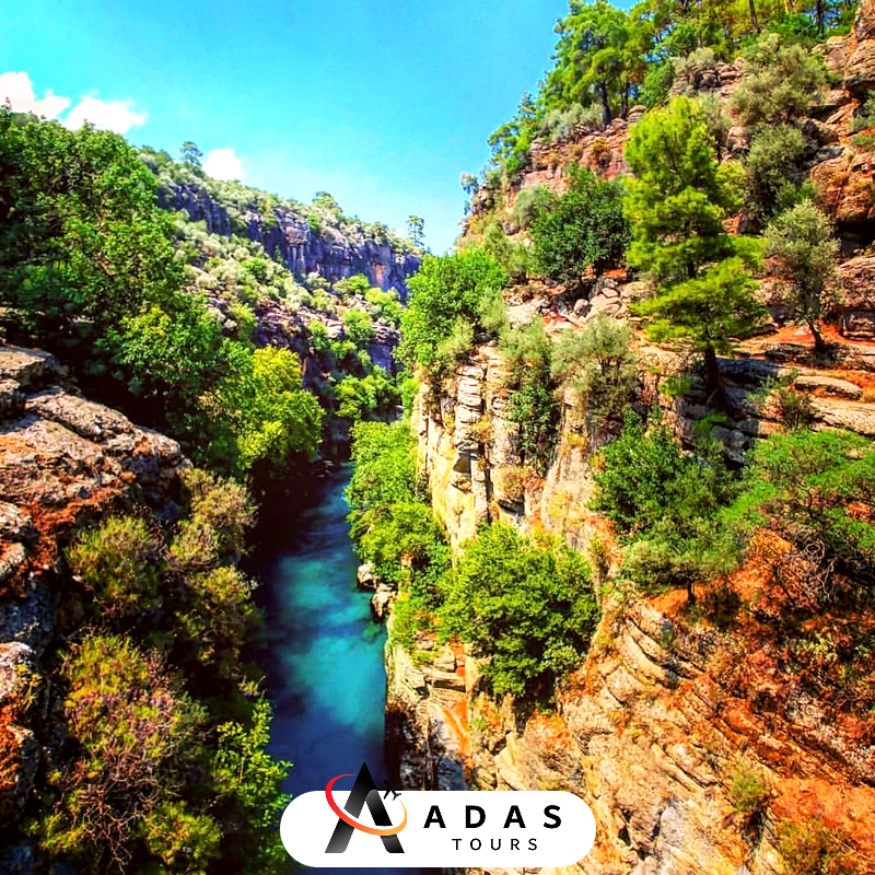 تور بش کناک تور بش کناک